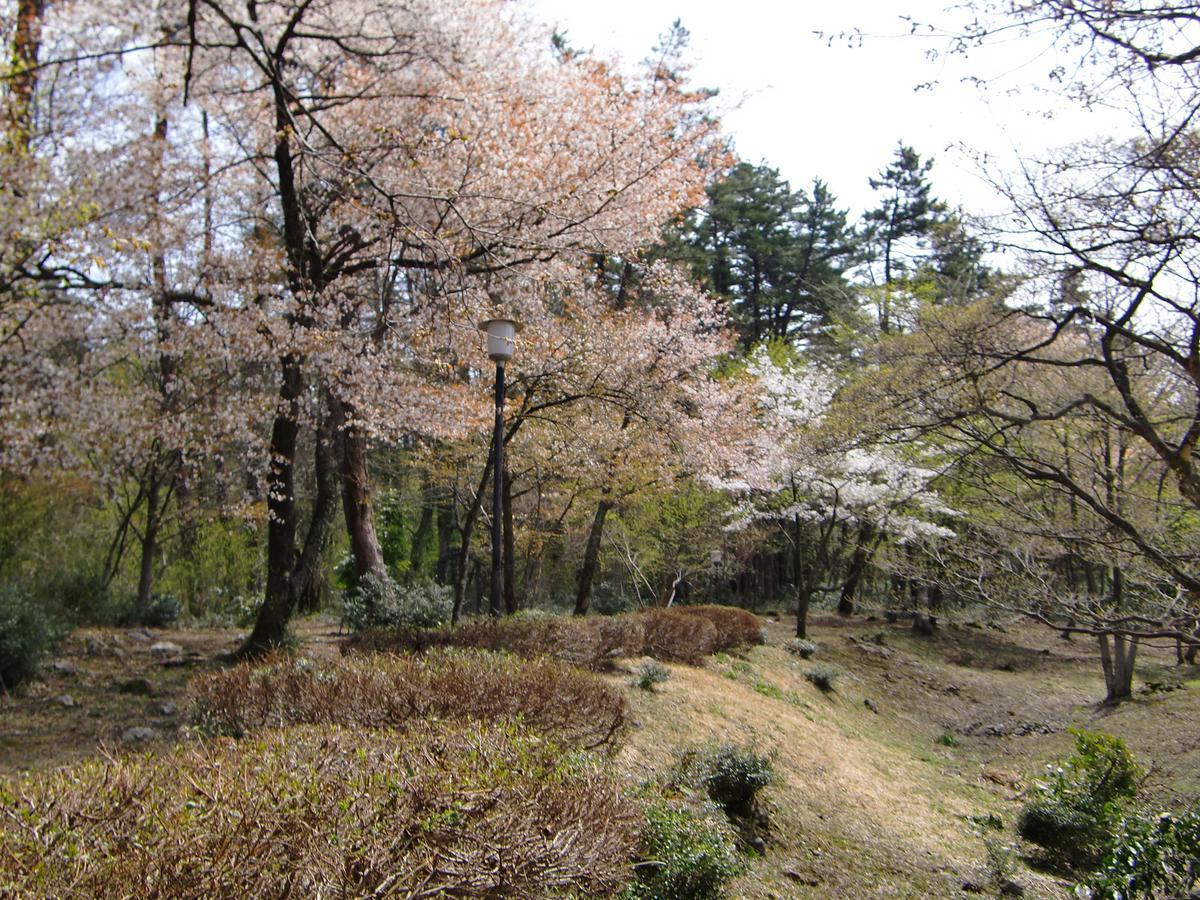 Hale Makawao Daisen (Tottori) Ngoại thất bức ảnh